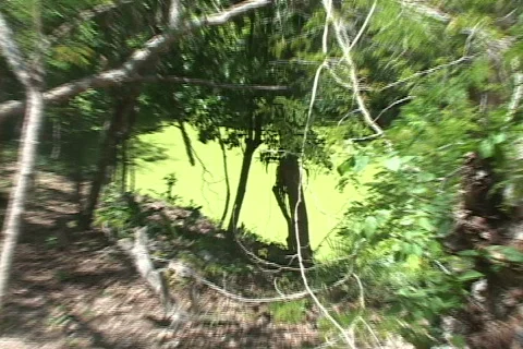 Mayan Culture Stock Footage 634035