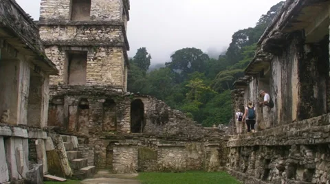 Mayan pyramid, Palenque Stock Footage 32512346
