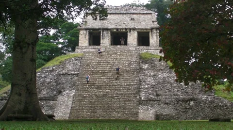 Mayan pyramid, Palenque Stock Footage 32512804