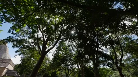 Mayan pyramid uxmal Stock Footage 62869016