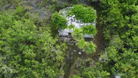 Mayan Ruin in Muyil Stock Footage 331662580