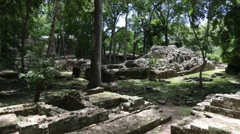Mayan ruins in the jungle, Copan. Stock Footage