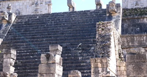 Mayan Ruins Mexico Chichen itza Lizard walking up the Warriors Temple Stock Footage 118862900