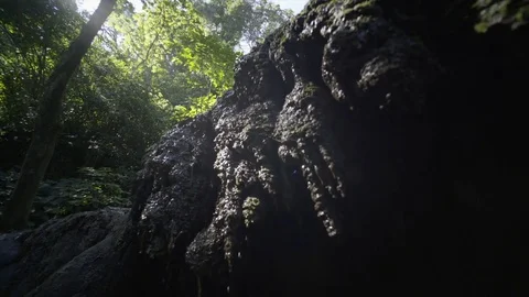 Mayan ruins in Mexico Stock Footage 83839798