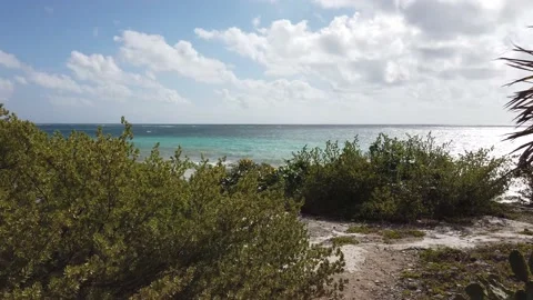 Mayan Ruins of Tulum in Mexico Stock Footage 173542581