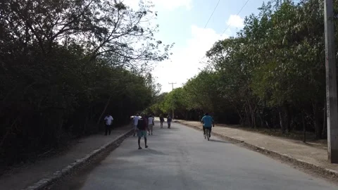 Mayan Ruins of Tulum in Mexico Stock Footage 173590116