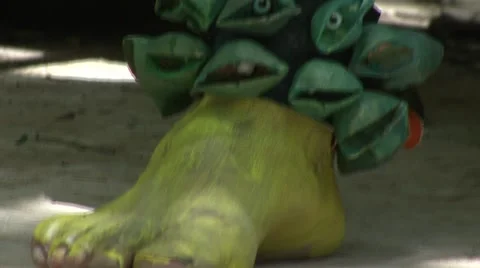 The Mayan Shaman  Stock Footage 910060