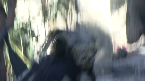 The Mayan Shaman  Stock Footage 935957