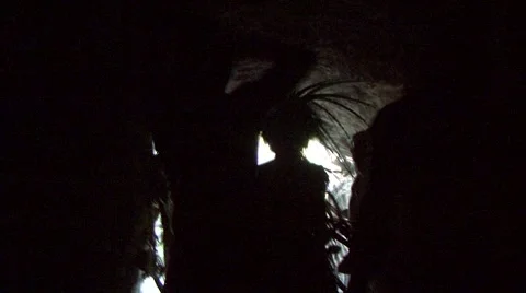 The Mayan Shaman  Stock Footage 936095