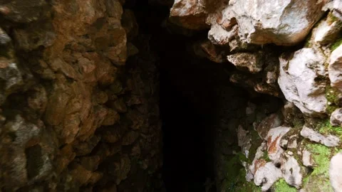 Mayan Temple of Caracol in Belize, Yucatan Peninsula, Central America. Stock Footage 230769873