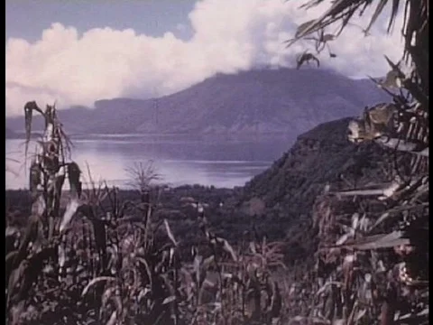 Mayans grow corn, raise cattle, and work the land with oxen in Guatemala in theƒ Stock Footage 75293457