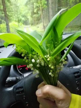 MAYBELLS Stock Photos