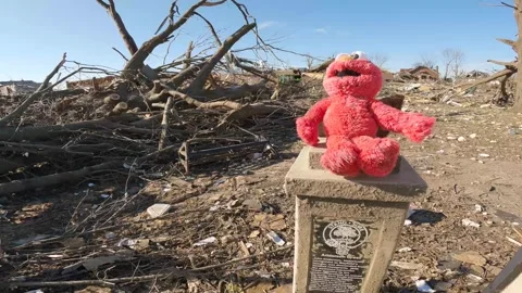 Mayfield Ky Tornado Damage - Monuments with Stuffed Animal Amid Desolation 3 Stockbeeldmateriaal 278124408