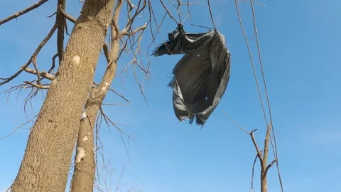 Mayfield Ky Tornado Damage - Slow Motion - Tarp Hanging in Tree 02 Stockbeeldmateriaal 278125009