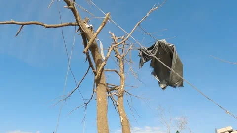 Mayfield Ky Tornado Damage - Slow Motion - Tarp Hanging in Tree 01 Stock Footage 278125014