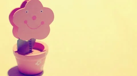 Mayflower Stock Footage 10825734