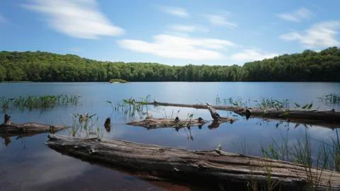 Mayflower Lake Stock Photos