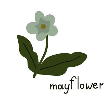 Mayflower vector flower Stock Illustration