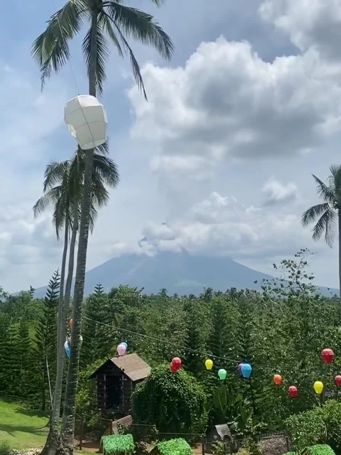 Mayon Volcano View with Palm Trees and Hanging Lanterns Stock Footage 339725559
