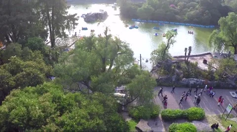 Mayor Lake of Chapultepec, Mexico City. Stock Footage 44349006