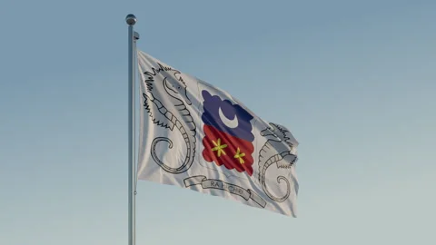 Mayotte Mamoudzou Flag seamless loop Cinematic Realistic Waving Blue Sky 스톡 동영상 311779879