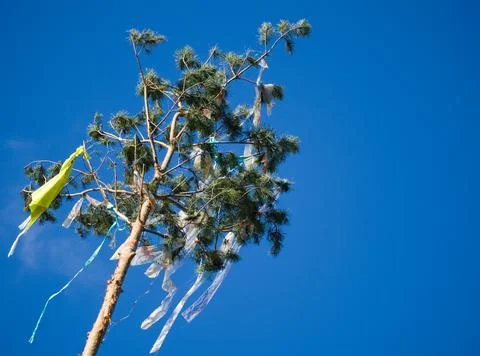 Maypole from Pine Tree Stock Photos