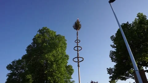 Maypoleon a very high pole Stock Footage 243748541