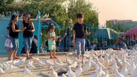 Mazar-e-sharif Stock Footage 108813917