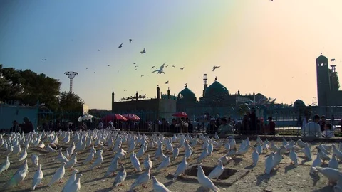 Mazar-e-sharif  Peaceful Stock Footage