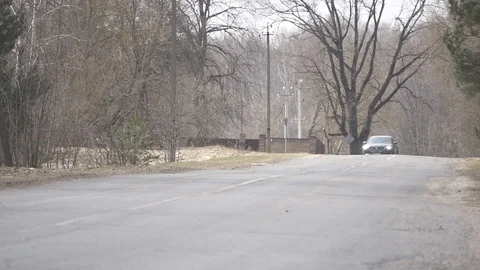 Mazda CX-9 car driving by on a forest road in early spring Stock Footage 88595294