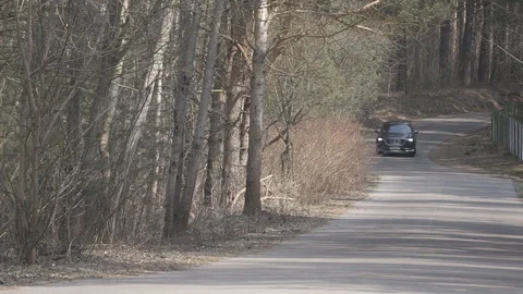 Mazda cx-9 car driving in the woods in eary spring Stock Footage 88595391