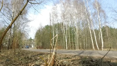 Mazda cx-9 car driving in the woods in eary spring Stock Footage 88595476