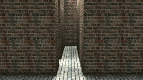 Maze Stock Footage 827079