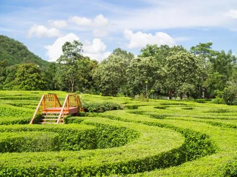 Maze garden Stock Photos