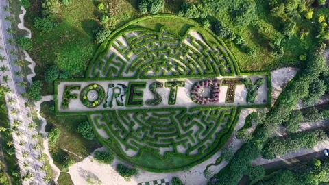 Maze made of hedges and grass with the word Forest City written in the middle Stock Footage 332095421