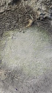 Maze pattern nest 库存照片