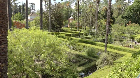 Maze Patterned Garden In Royal Alcazar In Seville Stock Footage 313339949