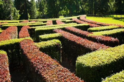 Maze Foto stock