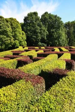 Maze Stock Photos
