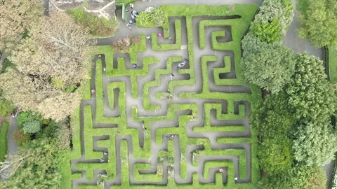 A maze is shown in a park with trees and bushes Stock Footage 301628608
