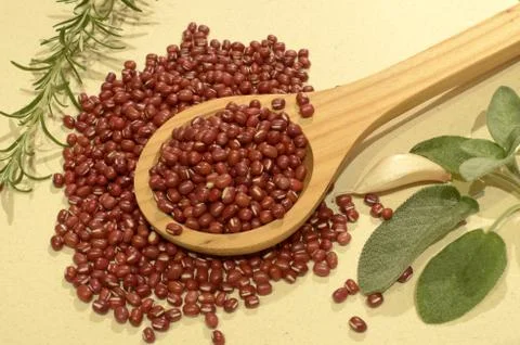 Mazuki Beans 写真素材