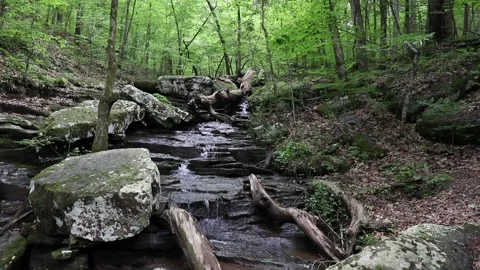 MB Cascade MVI 4283 Stock Footage 132078759