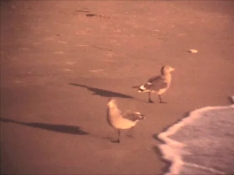 MB7 Stock Footage 1183311