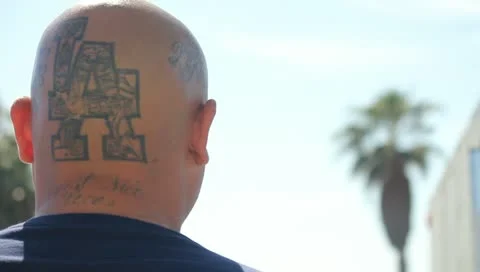 MC Beach 265 Stock Footage 11360011