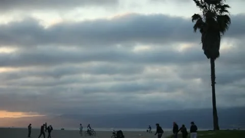 MC Beach 924 Stock Footage 11360529