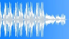 MC Wicketty Wack and His Stupidfresh Homeboys (15-secs version) Stock Music
