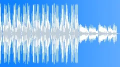 MC Wicketty Wack and His Stupidfresh Homeboys (30-secs version) Stock Music