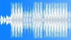 MC Wicketty Wack and His Stupidfresh Homeboys (60-secs version) Stock Music