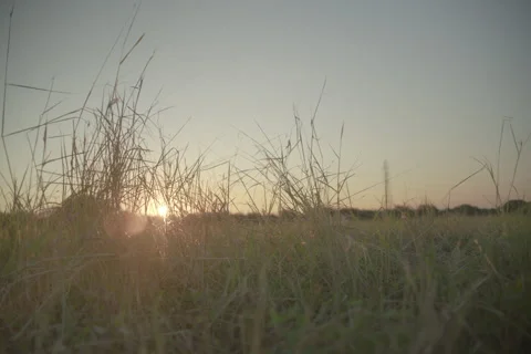 Mcallister Park 13 Stock Footage 277467136