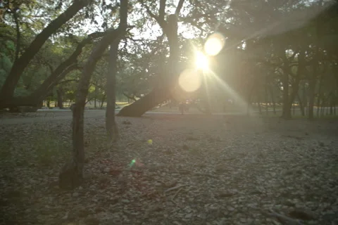 Mcallister Park 7 Stock Footage 277465249